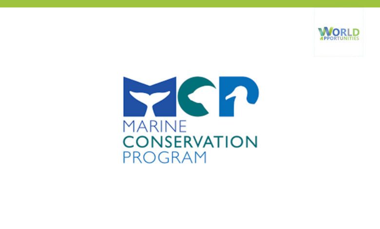 Marine Conservation Program - World Opportunities